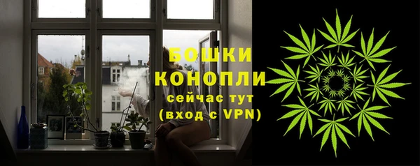 ГАЛЛЮЦИНОГЕННЫЕ ГРИБЫ Протвино