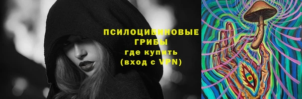 герыч Мегион