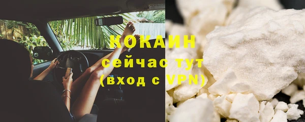 прущие грибы Михайлов