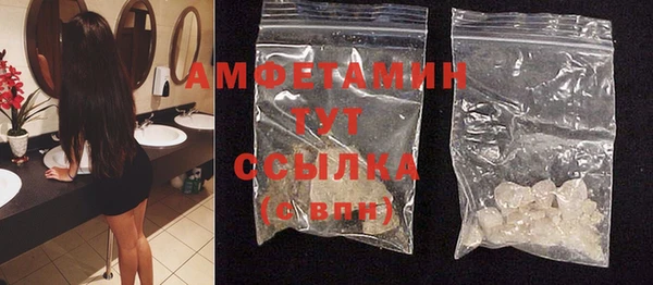 прущие грибы Михайлов