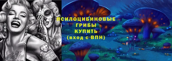 ПСИЛОЦИБИНОВЫЕ ГРИБЫ Медногорск