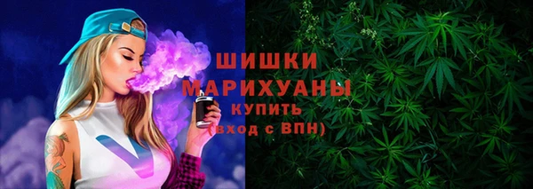 прущие грибы Михайлов