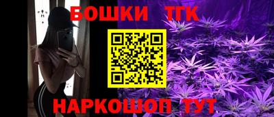 Альфа ПВП Бийск
