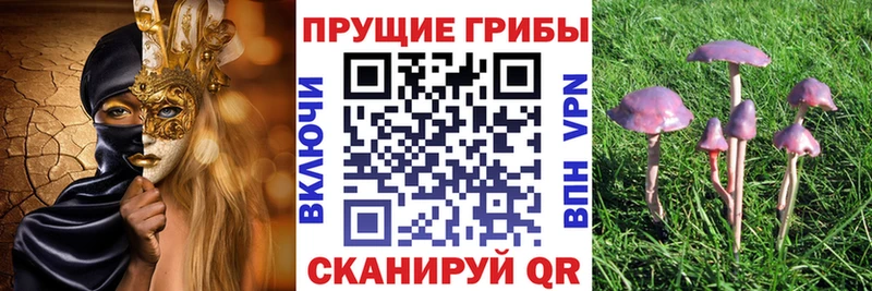 Псилоцибиновые грибы мицелий  Нижнеудинск 
