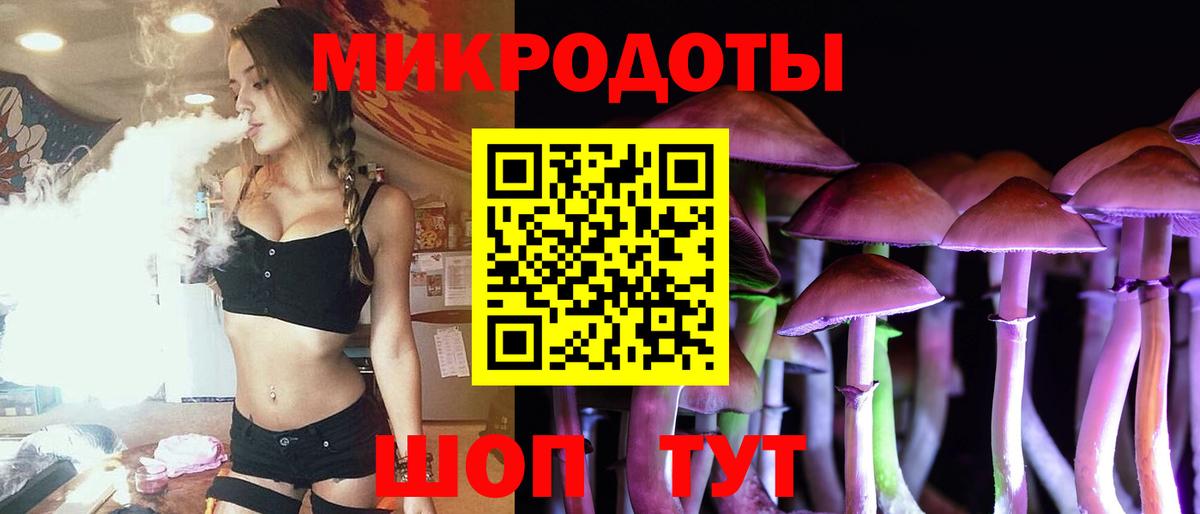 Псилоцибиновые грибы Psilocybe  Вход с VPN  Галлюциногенные грибы Cubensis  где купить наркотик  Нижнеудинск 
